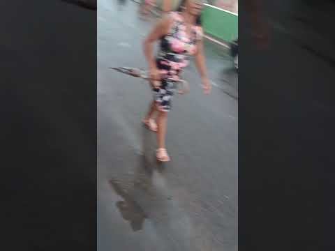 Palmeirina Pernambuco #youtubeshorts