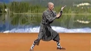 Shaolin kung fu luohan 18 hands