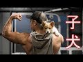 子犬を飼い始めました!~コーギー!
