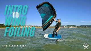 INTRO to WING FOILING