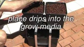 preview picture of video 'Hydroponics 2-pot system - tomatoes, cucumbers, herbs and beans'