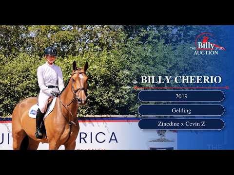 Billy Cheerio