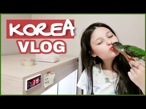 Обычное утро корейской семьи/ Q&A/ VLOG