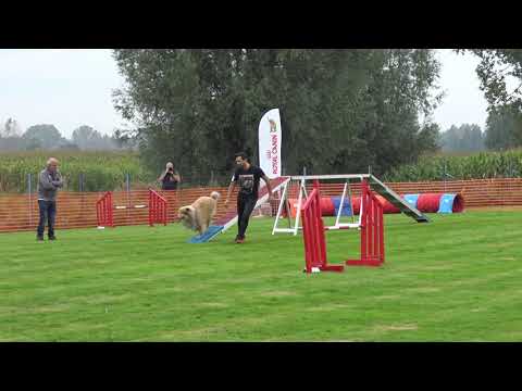 Drogo Agility Temse 26 9 2021