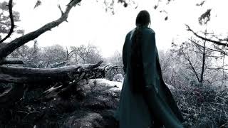 The real of life (feat Lili Haydn)  -  ESO  (Electro Symphonic Orchestra)