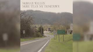 Musik-Video-Miniaturansicht zu More Than My Hometown Songtext von Morgan Wallen