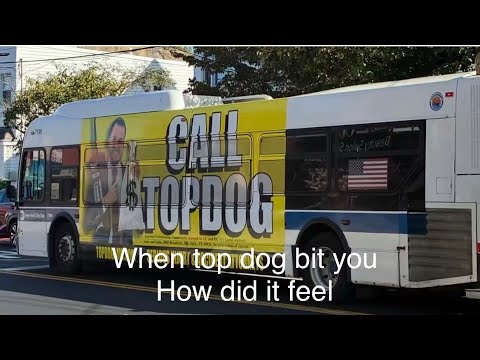 Top Dog Law - When top dog bit you, how did it feel - October 13, 2025