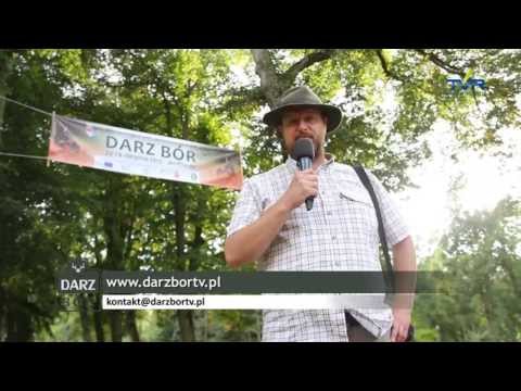 Darz Bór odc  66   Festyn w Połczynie Zdroju