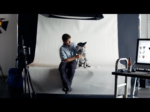Squarespace Turned a Dog-Founded Kombucha Brand Into a Deadpan Live Action 60-Second Ad