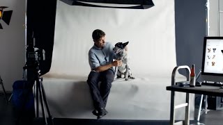 Squarespace Turned a Dog-Founded Kombucha Brand Into a Deadpan Live Action 60-Second Ad