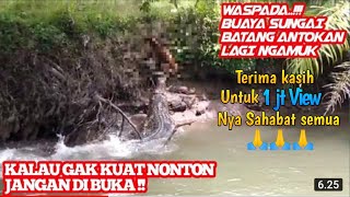 Download lagu BUAYA SUNGAI BATANG ANTOKAN MENGAMUK || BUMI MINANG CHANNEL mp3 Download lagu BUAYA SUNGAI BATANG ANTOKAN MENGAMUK || BUMI MINANG CHANNEL mp3