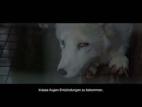 Die Pelzindustrie macht krank 💔 #shorts