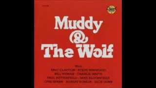 Walkin&#39; Thru The Park - Muddy Waters