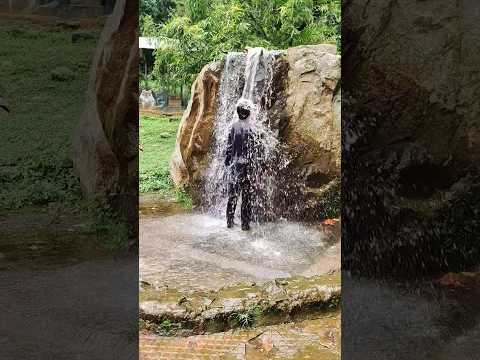 life of shiju / blackspirit / @blackspirit