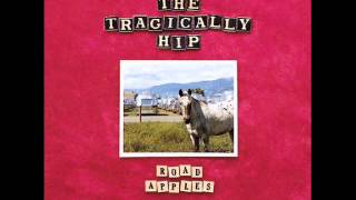 The Tragically Hip - On The Verge