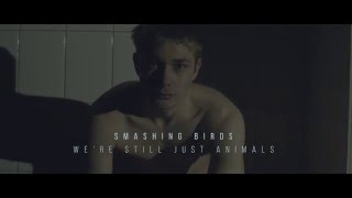 Smashing Birds - We're still just animals video