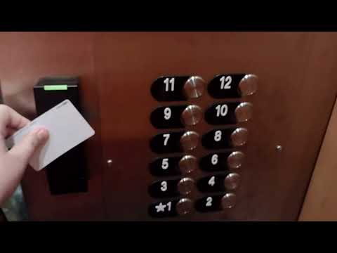 Otis Series 5 Hydraulic & Gen2 Elevators at Thermo Fisher Scientific Building in Wilmington NC