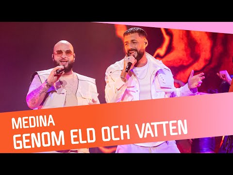 Medina - Genom Eld & Vatten on Spotify Charts