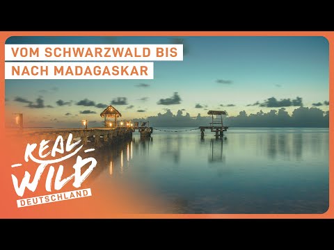 2+ Stunden der schönsten Reiseziele weltweit | Doku zum Einschlafen