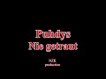 Puhdys - Nie getraut(Lyrics)