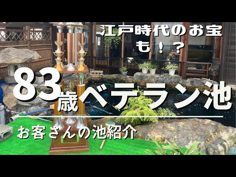 鯉の池の作り方: 作成と維持のヒント トピックス