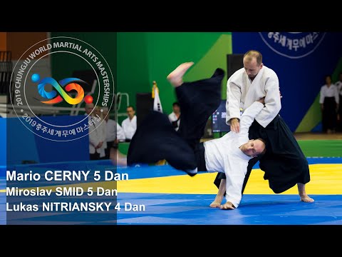 Demonstration of Experts in Aikido - Mario Cerny at World Martial Arts Masterships in Korea