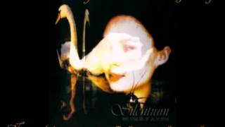 Silentium - Apart (Sub Inglés-Español)
