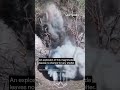 Ukrainian Soldier Throws TM 62 Anti Tank Mine At Russian Dugout Warinukraine