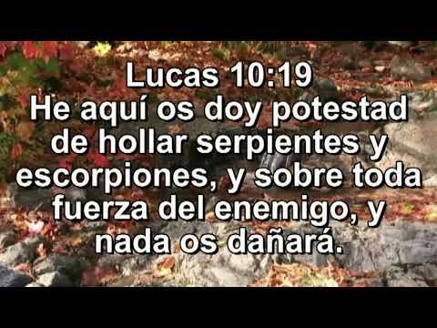 Lucas 10:19,He aquí os doy potestad de hollar serpientes , Versículos y musica de Armando Gamez