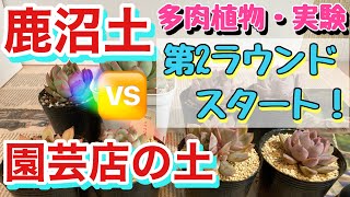 多肉植物 水やり 霧吹き موقع ويب حيث يمكنك مشاهدة مقاطع فيديو موسيقية مجانية 多肉植物 水やり 霧吹き موقع ويب حيث يمكنك مشاهدة مقاطع فيديو موسيقية مجانية