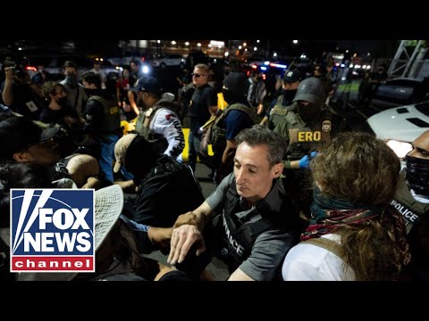 Tricia McLaughlin rips Dem's lawsuit against ICE: 'Political theater'