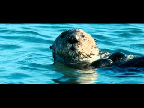 Creep Crawl Flash - Abroad