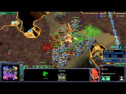 IdrA rages on GoOdy in HotS Beta