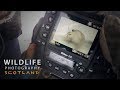 PHOTOGRAPHING MOUNTAIN HARES part 1 | Wildlife photography in Scotland - behind the scenes vlog