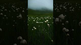 Download lagu Broken Angel (Slowed Reverb) - Arash | Lyrics | Aesthetic | English Song πΈ πΈ mp3 Download lagu Broken Angel (Slowed Reverb) - Arash | Lyrics | Aesthetic | English Song πΈ πΈ mp3