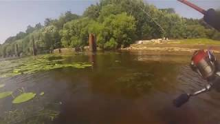 Ссылка