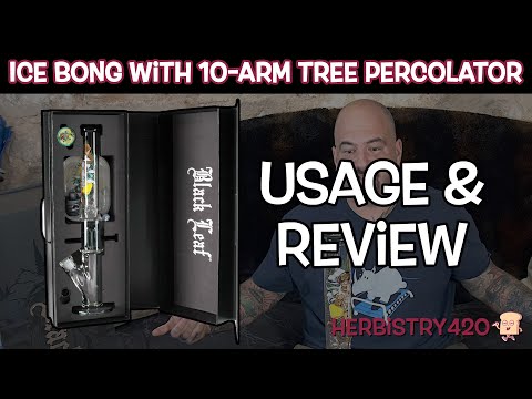 Black Leaf Tree Percolator Bong — 5 Reasons It Hits Different