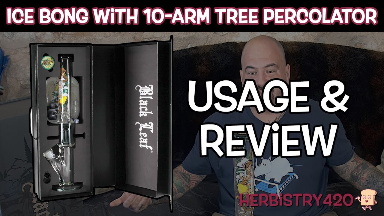 Black Leaf Tree Percolator Bong — 5 Reasons It Hits Different