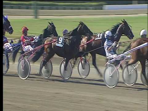 Trotto 07/05/2017 - 4ª corsa