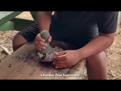 NDN Grantee Highlight: Kumano I Ke Ala 