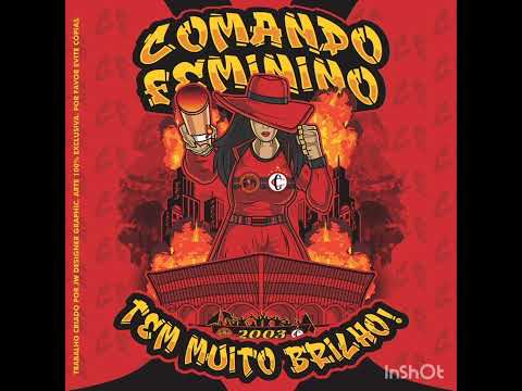 COMANDO FEMININO TFJ - FUNK TORCIDAS BRASIL - PIRREIS & NW NO BEAT