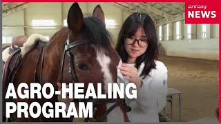 South Korea launches national certification system for agricultural healing programs