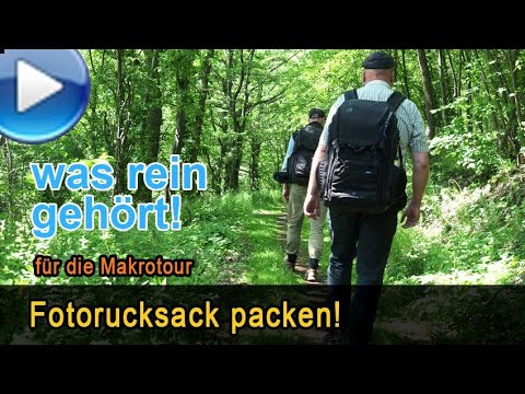 Den Fotorucksack richtig packen - für die Makrotour!