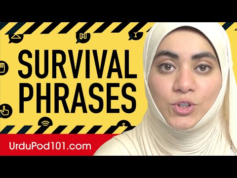 All Survival Phrases You Need in Urdu! Learn Urdu in 30 Minutes!