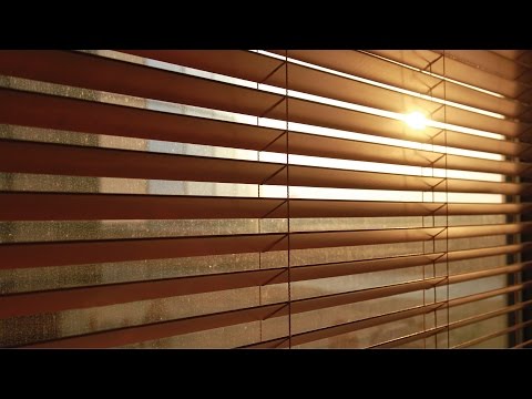 download lagu mp3 mp4 Timber Blinds, download lagu Timber Blinds gratis, unduh video klip Timber Blinds