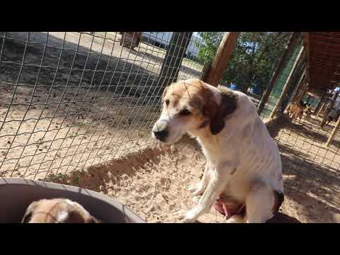 Vídeo de ZARA