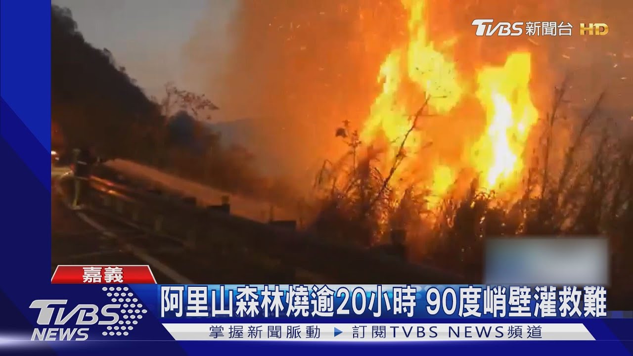 阿里山大火狂下「石頭雨」！　賞櫻接駁車喊卡