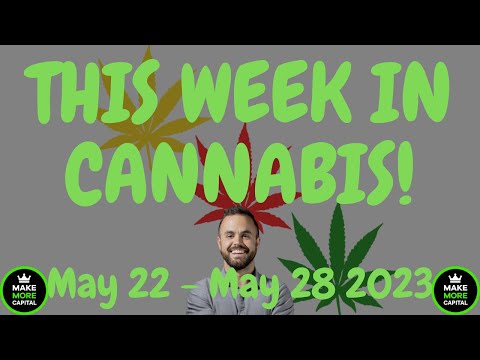 This Week in Cannabis News - May 22 to May 28 2023