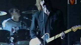 Powderfinger - Celebrity Head (live)