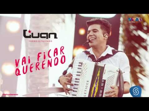 Vai Ficar Querendo - Luan Estilizado